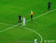 九游网页版-大坂直美混血